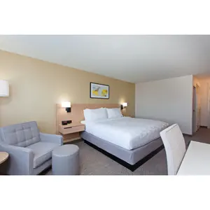 Holiday Inn By IHG Custom Project Hotel Bedroom Sets Furniture Commercial Modern Hospitality Bedroom FFE Casegoods