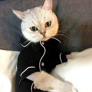 Pakaian Tidur Hewan Peliharaan, Pakaian Hewan Peliharaan Modis, Baju Anjing, Mantel Mewah, Jaket, Pakaian Santai untuk Anjing dan Kucing Ukuran Kecil dan Sedang - Product Image 6