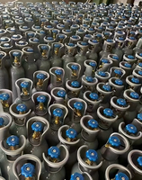 Cilindro de CO2 Estándar de 15L, Recipiente a Presión sin Costuras, Certificado Internacionalmente, Botella de Gas Dióxido de Carbono, Fácil de Usar