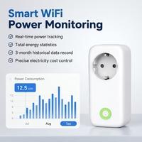 Enchufe Inteligente con Medidor de Energía Tuya, WiFi, Estadísticas de Energía en Tiempo Real, Control Remoto, Temporizador Inteligente, Fabricante OEM ODM