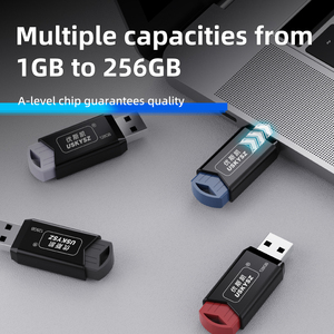 Memoria USB 2.0 con Logotipo Personalizado, Pendrive de 2GB, 4GB, 8GB, 16GB, 32GB, 64GB, 128GB, Unidades Flash USB Retráctiles - Product Image 1