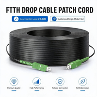 Kabel Drop FTTH Pre-Terminated Harga Pabrik Standar SC APC Patchcord Serat Optik Outdoor 100M untuk Penerapan ISP FTTX
