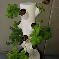 Système d'agriculture aéroponique Pineapple Tart Tower, pompe d'irrigation hydroponique, serre haute rigidité, 1 an