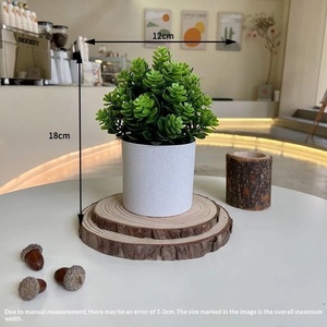 <span class=keywords><strong>Piante</strong></span> Artificiali <span class=keywords><strong>da</strong></span> Tavolo in Vaso per Arredamento Moderno, Centrotavola per Matrimoni, Stile Nordico - Product Image 4