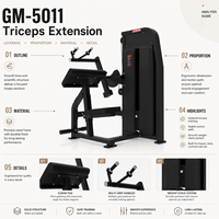 Máquina de Extensión de Tríceps Comercial de Acero, Plataforma Estable, Equipo Profesional para Entrenamiento de Brazos y Fuerza