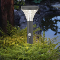 Lampe solaire LED extérieure étanche en acier inoxydable pour jardin, pelouse, patio et allée, 600 lm