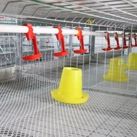 Nouveau produit Cage pour poulets de chair en treillis métallique nichoir fourni poulaillers type H chaudière élevant des cages à poulets automatiques