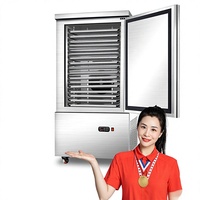 Congélateur Commercial à Congélation Rapide Delingshi, Refroidissement par Air, Contrôle Numérique de la Température -45°C à 80°C, Congélateur Bas, Énergie 5 Étoiles