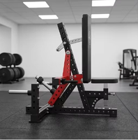 Équipement de musculation de haute qualité, export direct d'usine, équipement de fitness commercial et domestique, machine à dips pour triceps avec garantie