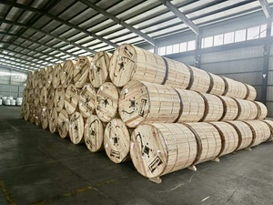 <span class=keywords><strong>Cable</strong></span> Industrial para Construcción de 600V THHN/THWN-2, <span class=keywords><strong>Aluminio</strong></span> Trenzado, Aislamiento de PVC, Cubierta de Nailon, <span class=keywords><strong>500</strong></span>/600/750 <span class=keywords><strong>MCM</strong></span> - Product Image 6