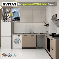 Solution clé en main : cuisines modulaires en contreplaqué CARB P2 avec quincaillerie à fermeture amortie, design moderne pour centres commerciaux et condos, résine/verre