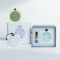 Désodorisant en Pierre de Plâtre OEM/ODM, Coffrets Cadeaux Personnalisés avec Huile Parfumée, Diffuseur de Carte Parfumée pour Voiture