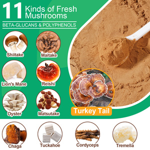 Worafy Bán Buôn Sức Khỏe Vật Nuôi Hoang Dã Nấm Bột Pha Trộn Thổ Nhĩ Kỳ Đuôi Nấm Bổ Sung Cho Chó Mèo Tiêu Trùng Miễn Dịch Hỗ Trợ - Product Image 2