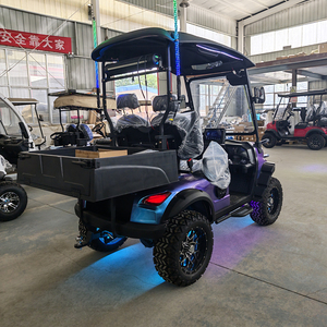 Nouvelle voiturette de golf électrique tout-terrain surélevée 2 places couleur caméléon - Product Image 5