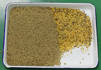 Nuevo clasificador de color de 2 canales para almendras y anacardos, clasificador de color de alta precisión para granos de café, maquinaria de procesamiento de granos
