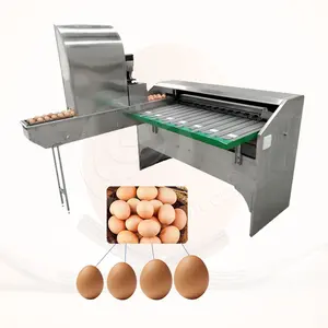 10000 egg/hr Industrial Philippines Small Automatic Egg Scale Grader Duck Chicken Egg Sort Grade Machine by Weight