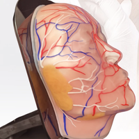 Modelo Facial Transparente Zhizao para Inyecciones Viales y Nerviosas, para Entrenamiento de Vasos Sanguíneos, Modelo Facial Médico y Cosmético