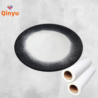 Poudre adhésive thermofusible Qinyu de haute qualité 1 kg, poudre TPU DTF