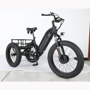 Vélo électrique à trois roues, <span class=keywords><strong>remorque</strong></span> cargaison, prix d'usine, bon marché, livraison avant - Product Image 1