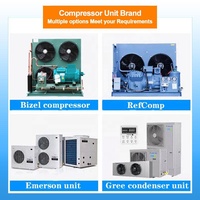 Unité de condensation 10Hp Compresseur semi-hermétique Refroidisseur refroidi par air Unités de condensation