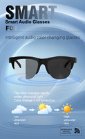 Auriculares F02 con Micrófono, Reproductor de Música y Llamadas Telefónicas, Carga Tipo-C para una Experiencia de Uso Mejorada, Gafas Inteligentes