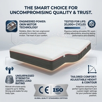 Lit intelligent sur mesure, mode zéro gravité, relevage électrique de la tête et des pieds, télécommande sans fil et application pour chambre moderne