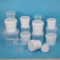Seau d'emballage alimentaire en plastique recyclable transparent avec poignée, capacités 1L, 2L, 2,5L, 3L, 4L, 5L, avec couvercle inclus