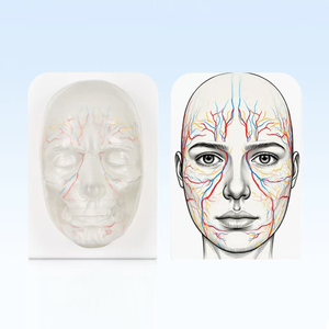 Modelo Facial DARHMMY de Alta Transparencia para Entrenamiento de Microcirugía, Práctica de Inyección Facial para Relleno de Ácido Hialurónico - Product Image 4