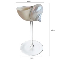 Copas de cristal creativas hechas a mano de concha Natural, copa de cóctel de Martini de acero inoxidable plateado para regalos de dama de honor