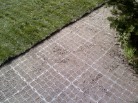 Pavés à gazon Tufftrack Grilles à gazon en plastique Pavés à gazon poreux