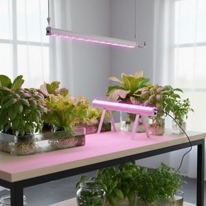 Lampada LED per Coltivazione a Spettro Completo 125W CRI>90 Luce Naturale per Laboratori <span class=keywords><strong>di</strong></span> Ricerca e Allevamento - Product Image 4