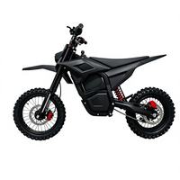 120Nm High Torque 2600W Electric Dirt Bike 50KM/H 40KM Range 48V 20Ah Off Road Electric Motorcycle Hydraulic Brakes