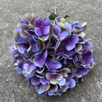 Bunga Hydrangea Putih Grosir, Bunga Hydrangea Lima Kepala Grosir untuk Dekorasi Pernikahan