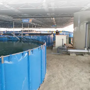 Trong nhà RAS hệ thống nuôi tôm tuần hoàn nuôi trồng thủy sản hệ thống aquipment cho vannamei tôm trang trại trên bán