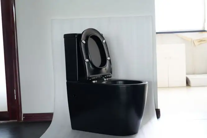 Ventes à bas prix Advanced noir maison luxe art salle de bain siphon type toilette à chasse d'eau en céramique