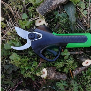 Sécateur électrique/Outil <span class=keywords><strong>de</strong></span> <span class=keywords><strong>jardinage</strong></span> professionnel pour vignoble et tout type <span class=keywords><strong>de</strong></span> vergers - Product Image 4