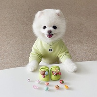 Vente chaude produits pour animaux de compagnie chaussures pour chiens d'été résistant à l'usure respirant plage extérieur antidérapant mignon chaussures pour animaux de compagnie