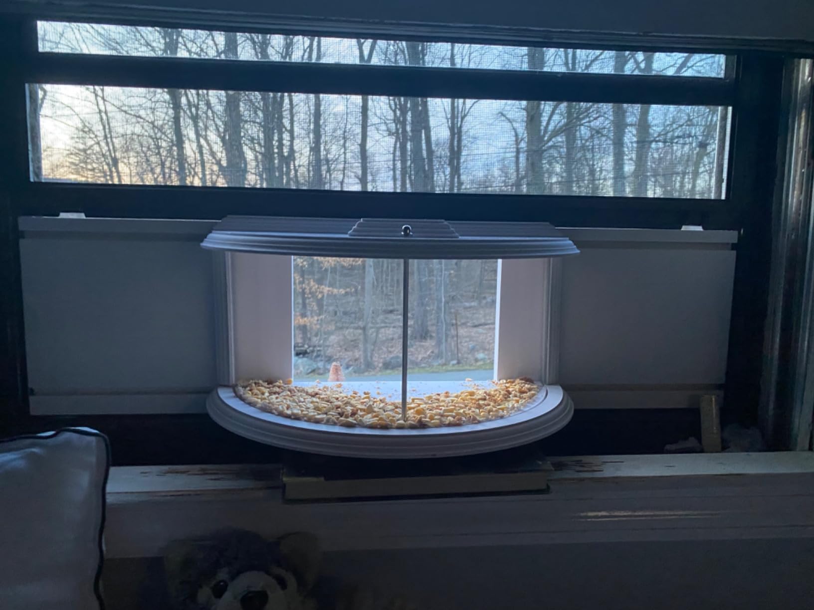 bird feeder in the window