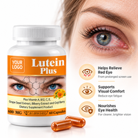 OEM ODM Lutéine Plus Myrtille Pépins de Raisin Baies de Goji Vitamines A C E Capsules de Nutrition Oculaire Complément Alimentaire Vente en Gros