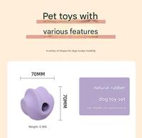 Ensemble de balles à mâcher écologiques pour chiens, en caoutchouc naturel, interactives, pour le nettoyage des dents et l'exercice, avec sac résistant aux déchirures