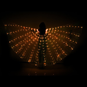 Led dạ quang BƯỚM CÁNH bụng nhảy múa hiệu suất trang phục sân khấu Lễ Hội Đảng chiếu sáng áo choàng dạ quang cánh bướm - Product Image 4