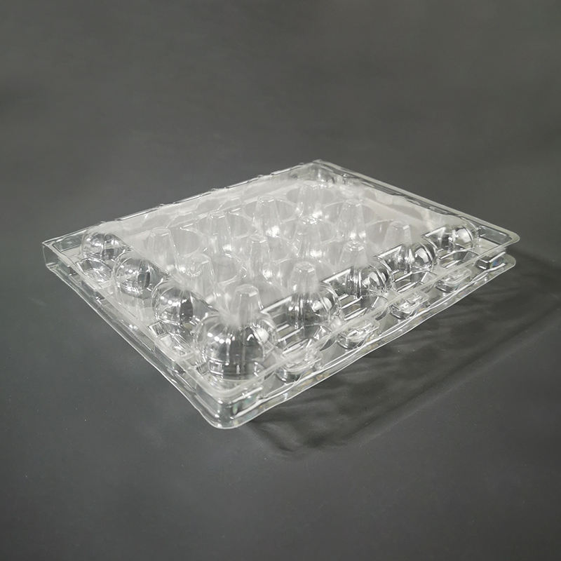 กล่องไข่นกกระทา20ช่อง