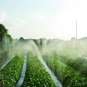 Nastro Irrigatore PE 20-75mm <span class=keywords><strong>Tubo</strong></span> Gocciolante <span class=keywords><strong>Irrigazione</strong></span> <span class=keywords><strong>a</strong></span> Pioggia <span class=keywords><strong>Tubo</strong></span> Spray da Giardino <span class=keywords><strong>per</strong></span> Sistema di <span class=keywords><strong>Irrigazione</strong></span> Agricola - Product Image 3