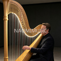Harpe à pédales LED NAOMI 47 cordes, kit de remplacement complet G0-C7, chariot extensible pour orchestre, concert, scène