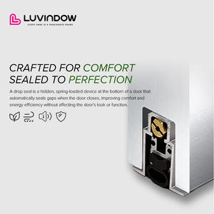 현대 입구 문 알루미늄 입구 문 주택 빌라 메인 전면 유리 피벗 도어 - Product Image 4