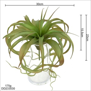 Grande plante artificielle Tillandsia Xerographica multicolore pour décoration de table tropicale sur bois flotté style bohème - Product Image 3