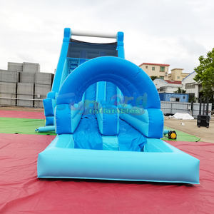 Toboganes acuáticos inflables gigantes para niños y adultos con piscina de chapoteo, combo comercial de tobogán acuático inflable. - Product Image 3