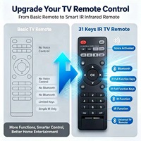 Control Remoto Inalámbrico IR de 31 Teclas para Smart TV LCD, Android TV Box, Carcasa Personalizada OEM ODM, Suministro de Fábrica