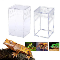 Acrylique Reptile Boîte D'alimentation Insecte Prier Lézard Maison Cage Terrarium Araignée Élevage