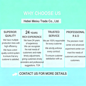 Dentifrice aux Probiotiques Sp-6 140g Approvisionnement en Gros Amélioration de la Mauvaise Haleine pour Dents Jaunes Blanchiment des Dents en Profondeur - Product Image 6